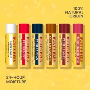 NWT - Burt's Bees Bake Shop Lip Balm Collection (set of 6)